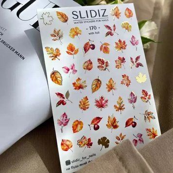 Слайдер-дизайн SLIDIZ 170 N1245825 фото