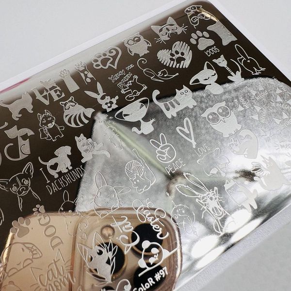 Пластина для стемпінгу RR-97 на пластиковій основі 67538 фото