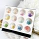 Набор сухоцветов в контейнере для декора ногтей, 12 шт 45357 фото 2