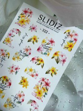 Слайдер дизайн SLIDIZ 322 SDZ322 фото