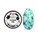 Гель для нігтів Saga Flower Gel сухоцвіт 11 N02911 фото 1