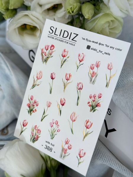 Слайдер-дизайн SLIDIZ 388 N55388 фото