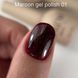 Гель лак Lukum Maroon Collection gel polish 01, 10 мл N09535 фото 2