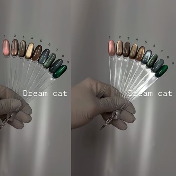 Гель лак кошачий глаз хрустальный SAGA Dream Cat №5, 10 мл, TPO & HEMA Free DRC05 фото