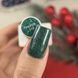 NAILSOFTHEDAY Gel Polish Verde &mdash; зелений світловідбиваючий гель&ndash;лак для нігтів, 10 мл 4825522600004 фото 2