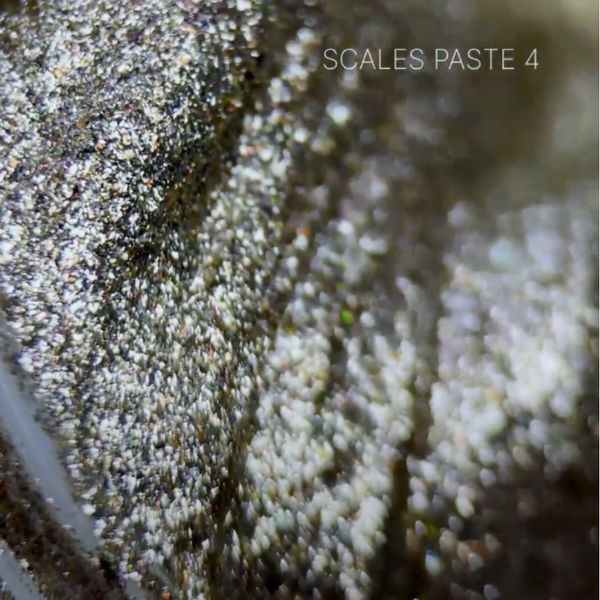 Гель-паста без липкого слоя Saga scales paste №4, 5мл 71644 фото