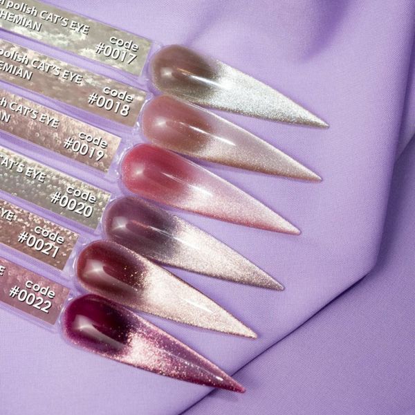 Гель-лак DNKa' Gel Polish Bohemian Cat Eye #0020 FTCGP0020 фото