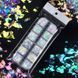 Блестки для дизайна ногтей, 12 ячеек N91032 фото 4