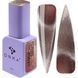Гель-лак DNKa' Gel Polish Bohemian Cat Eye #0021 FTCGP0021 фото 1