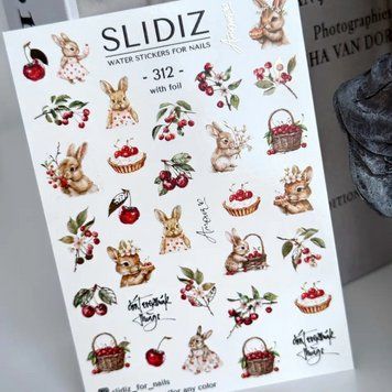 Слайдер-дизайн SLIDIZ 312 N312 фото