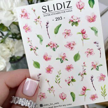 Слайдер-дизайн SLIDIZ 293 N293 фото