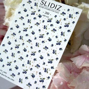 Слайдер-дизайн SLIDIZ 310 N310 фото