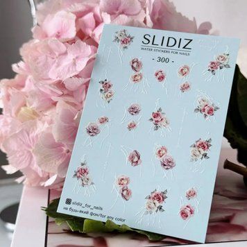 Слайдер-дизайн SLIDIZ 300 N300 фото