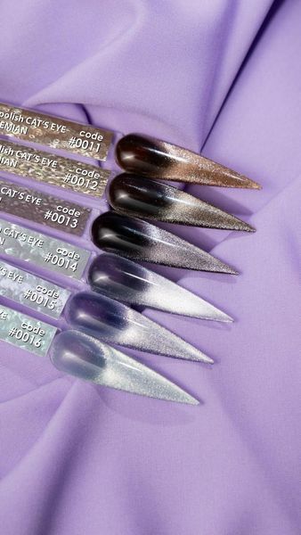 Гель-лак DNKa' Gel Polish Bohemian Cat Eye #0013 FTCGP0013 фото