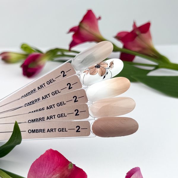 Гель краска Crooz art gel ombre, 5 в 1, №02, 3 мл CAO02 фото