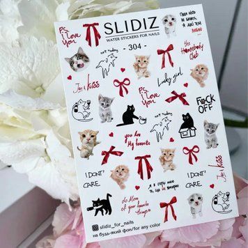 Слайдер-дизайн SLIDIZ 304 N304 фото