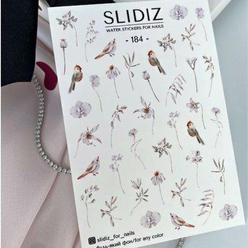 Слайдер дизайн SLIDIZ 184 N184184 фото