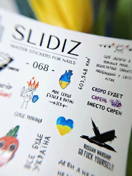 Слайдер дизайн SLIDIZ 068 0664466 фото